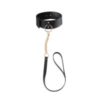   Nyakörv és póráz, Bijoux Indiscrets, Maze Wide Choker, 16–20 cm, fekete, állítható, széles pánt, pórázzal, poliuretán (vegán bőr)