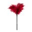 Tollas cirógató, Guilty Pleasure, Small Feather Tickler, 31-35 cm, piros, puha toll, érzéki, fétis játékokhoz