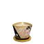 Masszázsgyertya, Shunga, Massage Candle Vanilla, 170 ml, natúr, vanília illatú, szójaviasz alapú, kézmeleg olajjá olvad, 40 órás égés